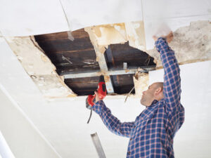 Ceiling Repairs